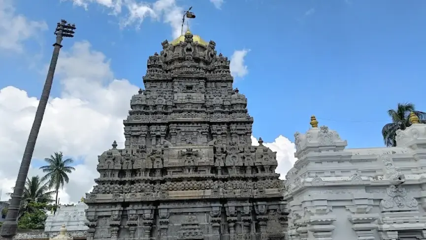 srikurmam temple history significance timings travel guide