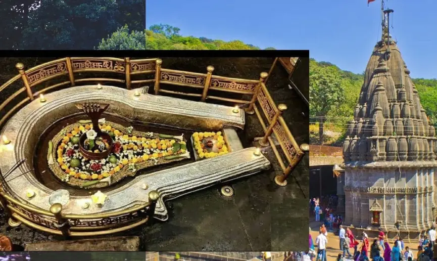 top 10 things to know before visiting bhimashankar jyotirlinga temple