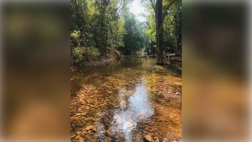 mamandur forest travel guide
