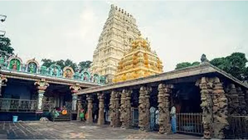 Amararama
