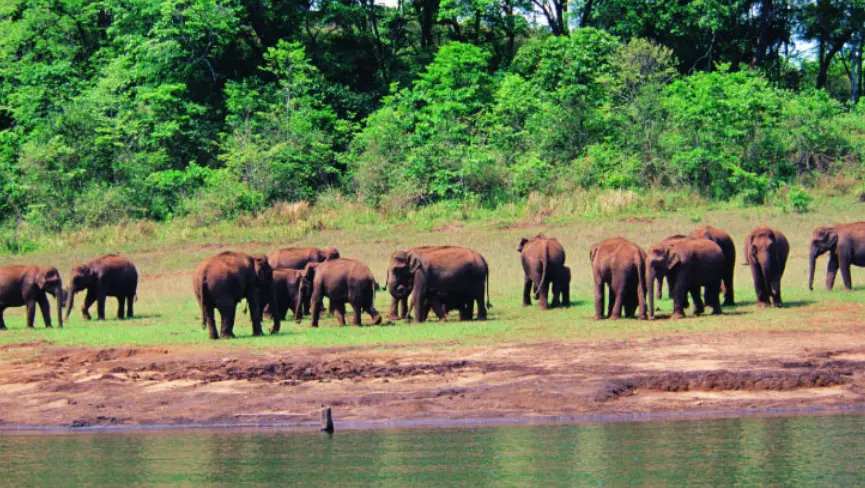 Periyar Wildlife Sanctuary