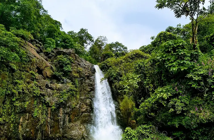 Ninai Waterfalls