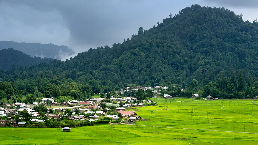 Ziro