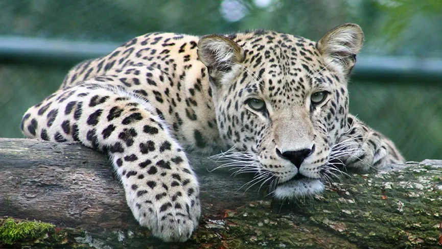 Takhani Rehmanpur Wildlife Sanctuary