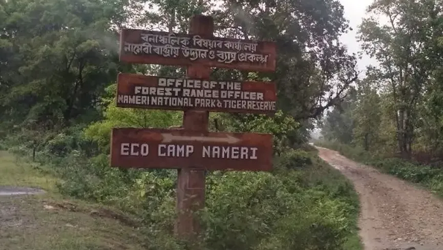 Nameri National Park And Forest Reserve