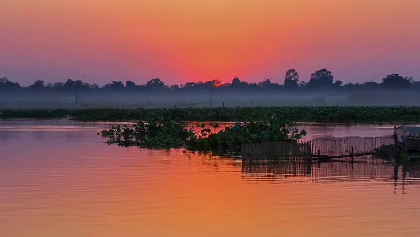 Maguri Motapung Beel