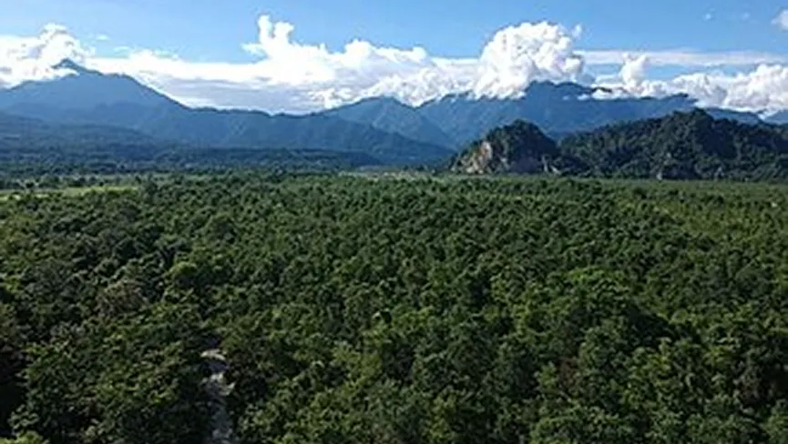 Gethsemane Man Made Forest