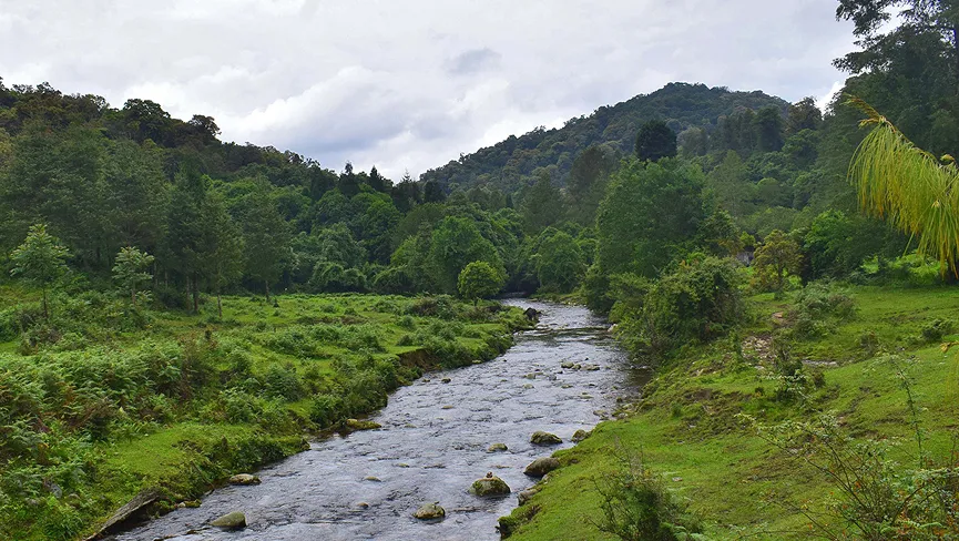 Talle Valley Wildlife Sanctuary