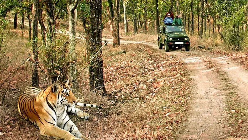 Jim Corbett National Park