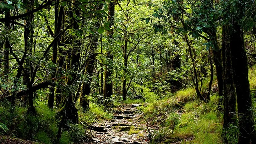 Binsar Wildlife Sanctuary