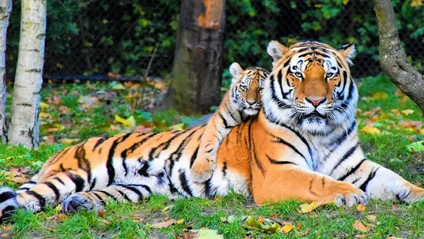 Sonanadi Wildlife Sanctuary