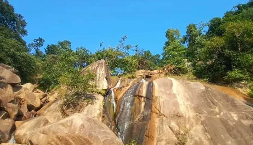 Badalkhol Wildlife Sanctuary