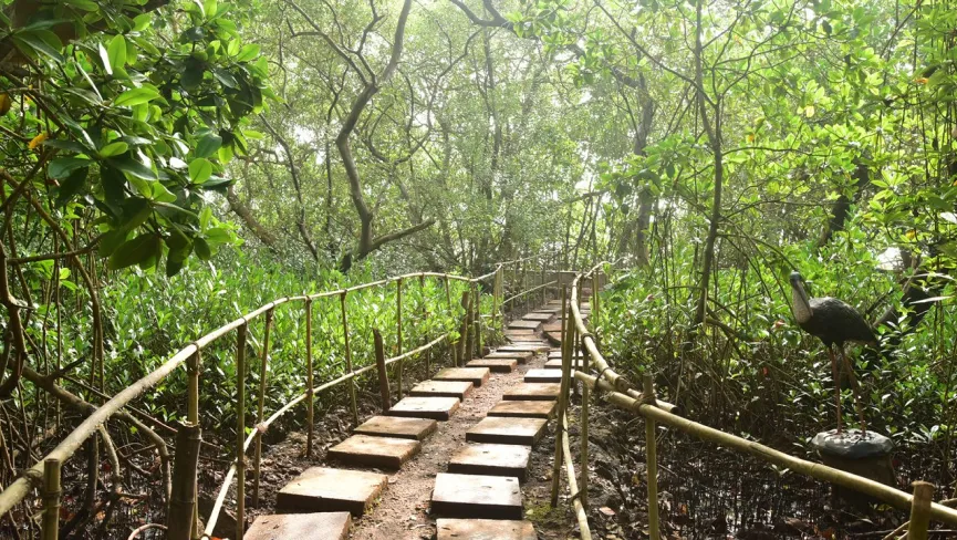 Dr Salim Ali Bird Sanctuary