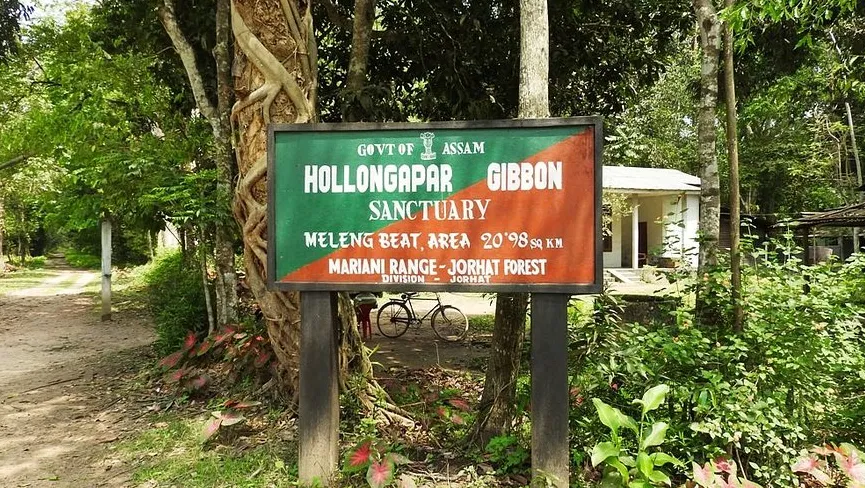Hollongapar Gibbon Sanctuary