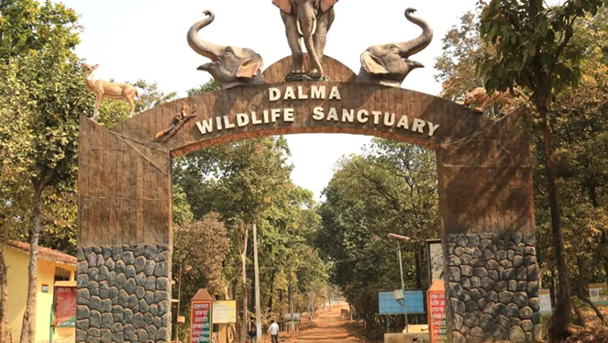 Dalma Wildlife Sanctuary