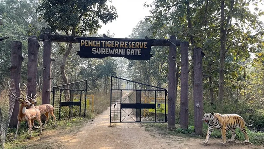Pench National Park