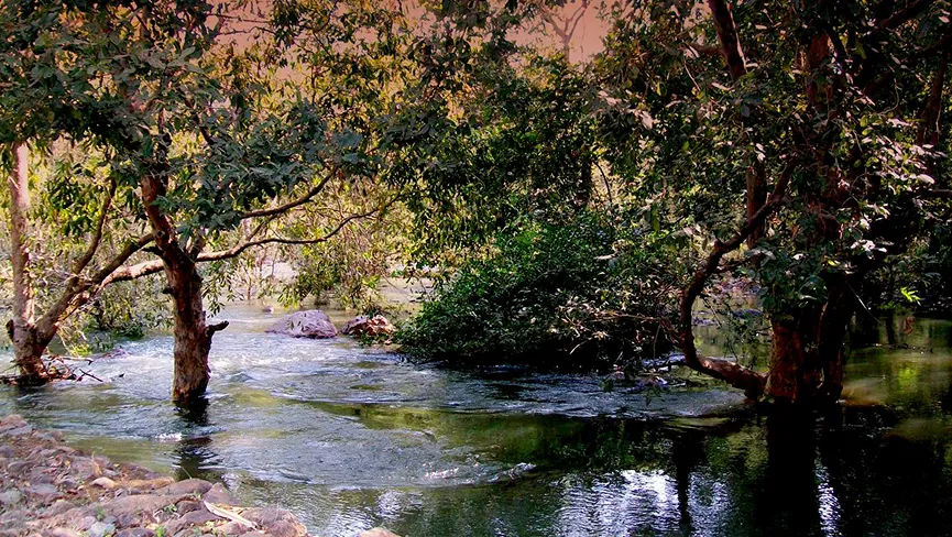 Sita Mata Wildlife Sanctuary