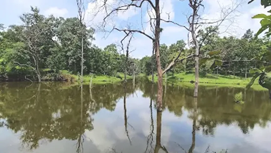 Bhondki Forest Pond