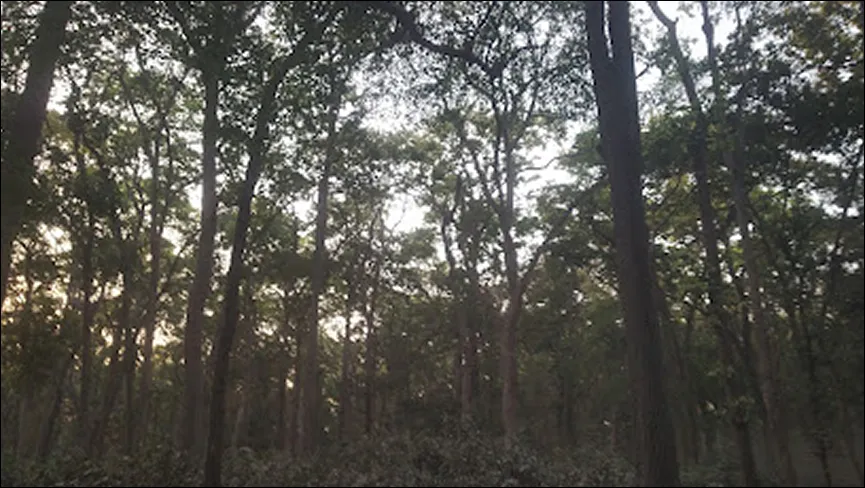 Sohagi Barwa Sanctuary