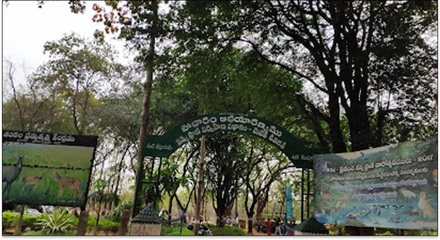 Pocharam Wildlife Sanctuary