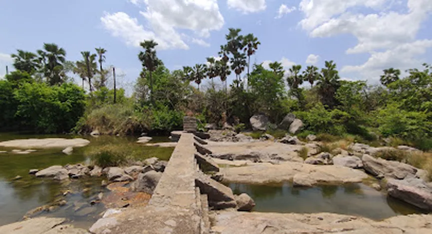 Sadarmat ana cut small chintalpet