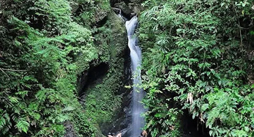 Xuan Son National Park