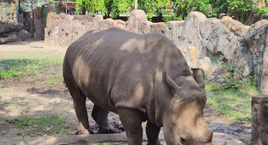 Saigon Zoo  Botanical Gardens