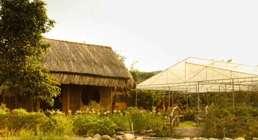 VO SONG FARM  ECO CULINARY AREA