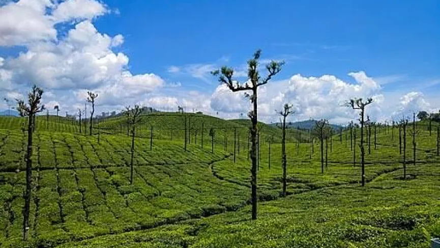 Balehonnur